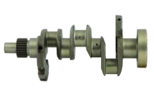 Skl-urs-01236.jpg