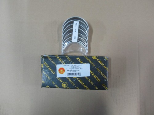 skl-urs-01189.jpg