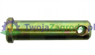 SWORZEŃ CIĘGŁA DOLNEGO-330.jpg