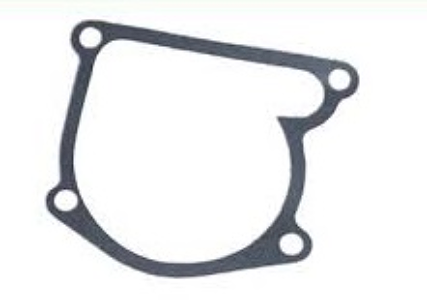 Uszczelka pompy wodnej C-360.jpg