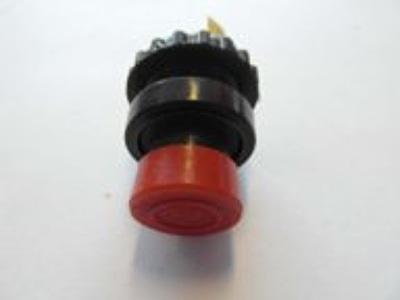 skl-urs-00754.jpg