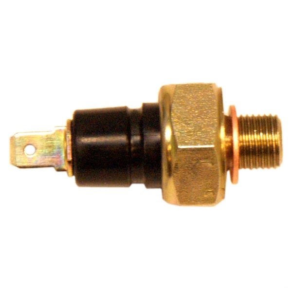 skl-urs-00296.jpg