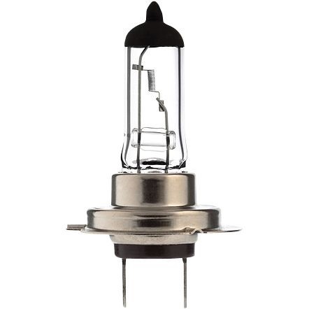 Żarówka H7, 12 V, 55W, PX26d.jpg