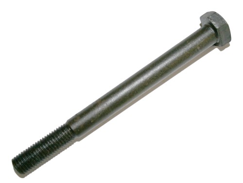 skl-urs-00988.jpg