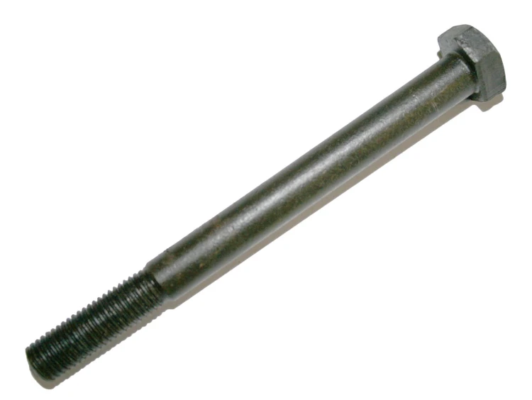skl-urs-00988.jpg