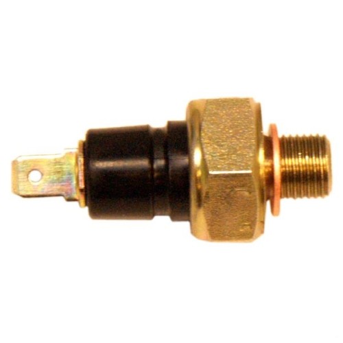 skl-urs-00296.jpg