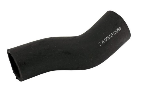skl-urs-01205.jpg