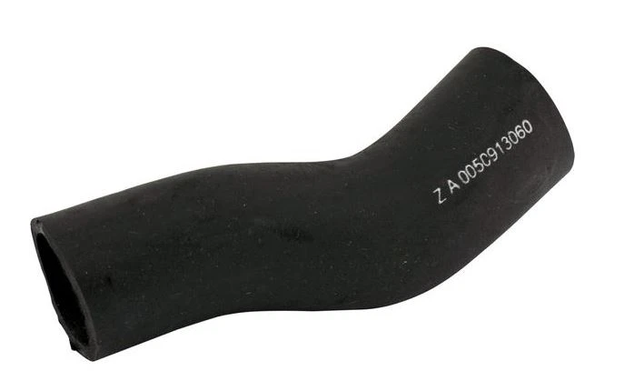 skl-urs-01205.jpg