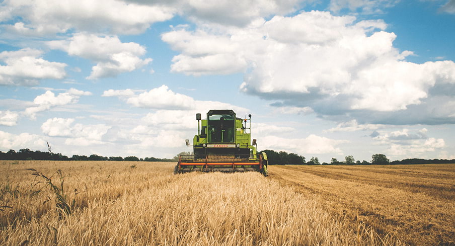 Premia dla młodego rolnika do 150 tys. złotych