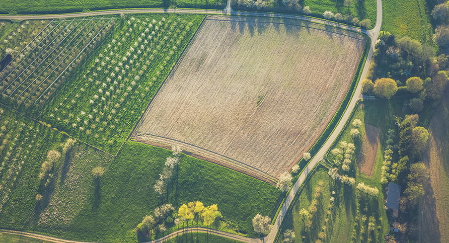 Pola zrobione z lotu ptaka